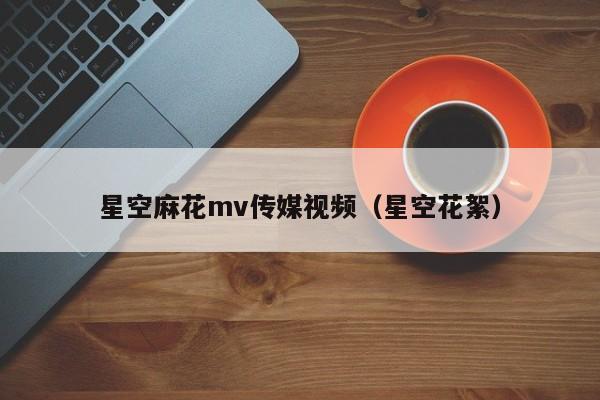 星空麻花mv传媒视频（星空花絮）