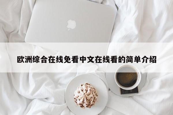 欧洲综合在线免看中文在线看的简单介绍