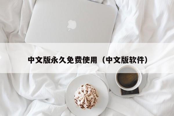 中文版永久免费使用（中文版软件）