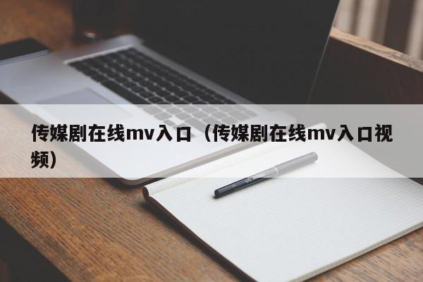 传媒剧在线mv入口（传媒剧在线mv入口视频）